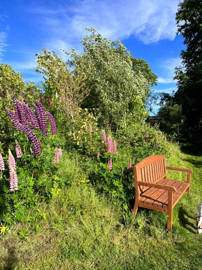 Poppy Cottage Monmouth Dış mekan fotoğraf